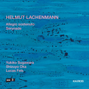Lachenmann: Allegro sostenuto &amp; Serynade