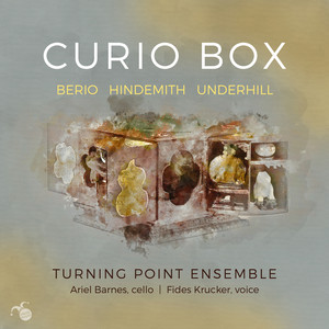 CURIO BOX CURIO BOX