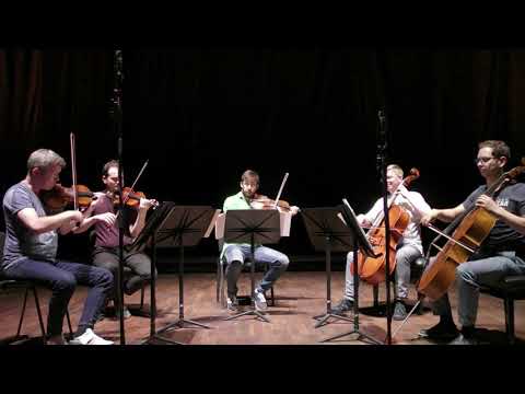 Preview image for the video "Schubert: String Quintet, 4th movement - Acies Quartett &amp; Martin Rummel".