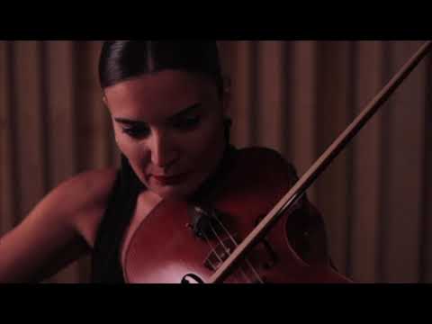 Preview image for the video "Jaime Reis - Fluxus, Transitional Flow (by Pinar Dinçer)".