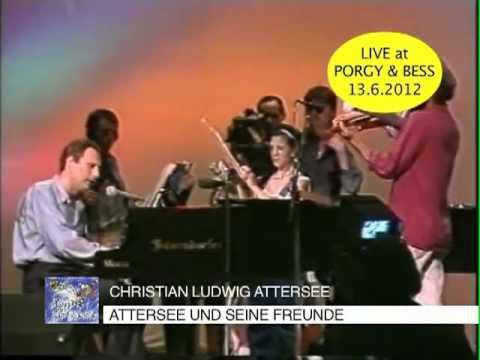 Preview image for the video "Attersee und seine Freunde".