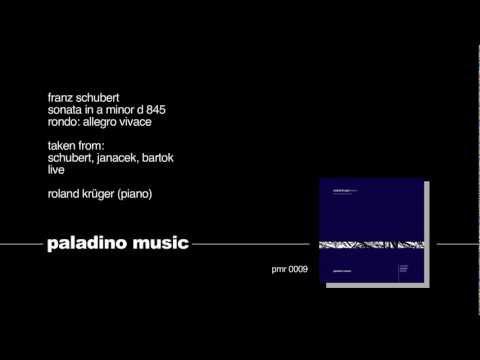 Preview image for the video "Roland Krüger: The Hanover Concert".