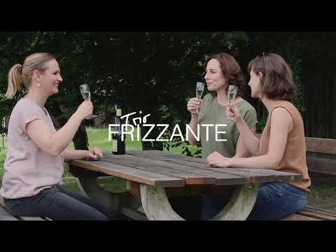 Preview image for the video "TRIO FRIZZANTE plays Debussy Trio in G".