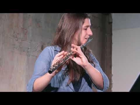 Preview image for the video "Jaime Reis - Fluxus, Dimensionless Sound (B) [by Clara Saleiro]".