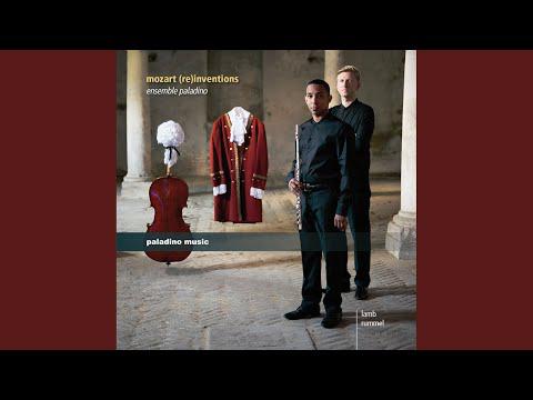 Preview image for the video "Mozart (re)inventions - Arrangements for Flute and Cello by Eric Lamb and Martin Rummel".