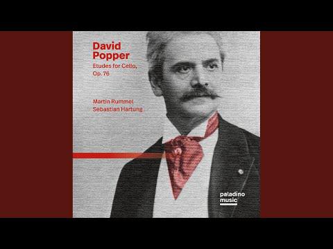 Preview image for the video "Ten Grand Etudes of Moderate Difficulty: No. 1: Mäßig Bewegt".