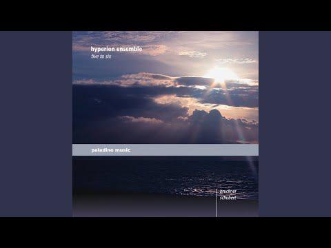 Preview image for the video "Franz Schubert: Fantasy D 940 for String Sextet".