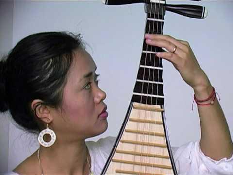 Preview image for the video "Lan Weiwei demonstrates the pipa".